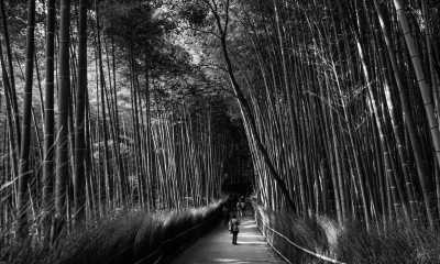 Japan - Kyoto - 🇯🇵 Japan: Climb Mt Fuji 🏔️, Mario Kart in Tokyo 🏎️, Meet a Geisha, Universal studios, Temples, Numerous cities 🥳 - 3