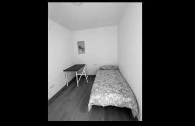 Spanien - Puerto de la Cruz - ONE spot left ! Workation, Island Style 🎭 Carnaval Edition 🎭 16 Days or 7 Days Co-working from Digital Nomads paradise Tenerife 🌋 - 7