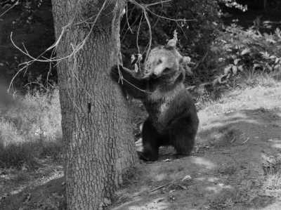 Romania - Zărnești - Discover the wonders of Transylvania Alps with a local: 7 days 4* Spa Hotels, Adventure Trip in Romania