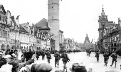 Czechia - Domazlice - Dog-Friendly Hike Through Chodsko and Upper Palatine Forest: Unraveling WWII History in Czechia - 3-Day Adventure - 2