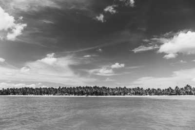 Dominikanische Republik - Las Terrenas - Get a taste of The Dominican Republic - One month trip in Paradise, rum tasting and more! - 1