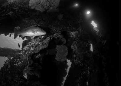 Indonesien - Tulamben - North Bali Paradise for trekking, snorkeling, kayaking and diving in Kintamani, Tulamben and Amed