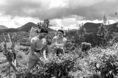 Sri Lanka - Ella - 2 Week Sri Lanka Tuktuk Trip - 1