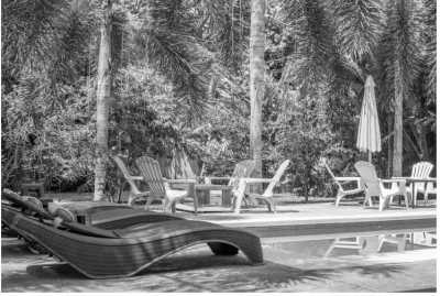 Costa Rica - Puerto Viejo de Talamanca - Work and Live in Costa Rica's Wonderful South Caribbean Side! - 14