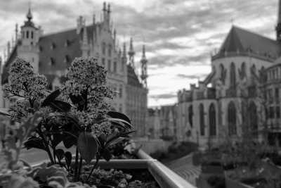 Western Europe - Leuven - Winter in Europe, 5 Countries, 11 Cities - France, Belgium, Luxembourg, Netherland, Germany☃️ - 2