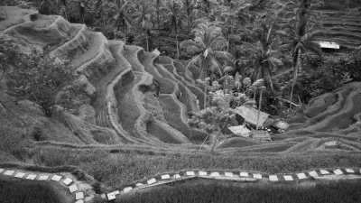 Indonesia - Bali - Co-Living / Staycation in Bali 🇮🇩 🏝 - 4