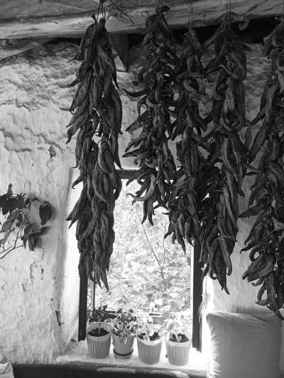 Southern Europe - Demir Hisar - Immerse in Local Living in North Macedonia - 3