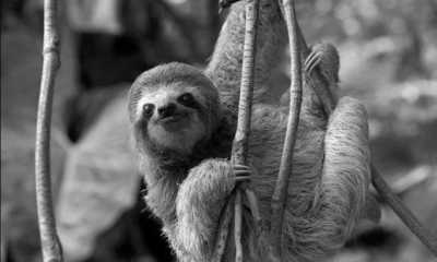 Costa Rica - Parque Nacional Volcán Tenorio - Majestic Adventures in Costa Rica: Beaches, Volcanoes, Hot Springs, Cloud Forest, and Pura Vida Lifestyle! - 4