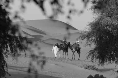 United Arab Emirates - Mshayrif - Exploring Abu Dhabi's Hidden Gems: Unveiling the Pearl of the UAE - 2