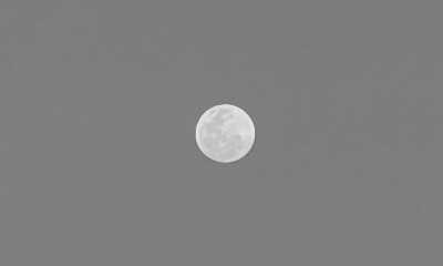 Tanzania - Kiwengwa - 10-day trip around Zanzibar island, Tanzania 🌴 - 11