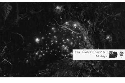 New Zealand - Waitomo Glowworm Caves - 🇳🇿🗺 Entdecke die Geheimnisse Neuseelands 🗺🇳🇿 - 2