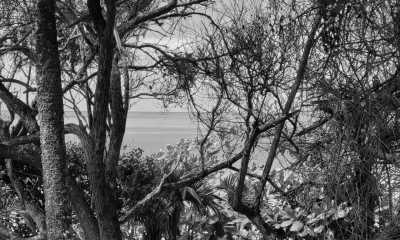 Brasilien - Arraial d'Ajuda - Explore Brazil in a Relaxing Coworking Environment: Uncover Porto Seguro, the Most Historical City of the Country! - 4