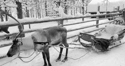 Finnland - Levi - Fotografieren lernen in Finnland - Eine unvergessliche Fotoreise im hohen Norden