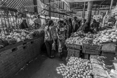 Kenya - Mombasa - Discovering the nature and customs of Kenya, East Africa - 3