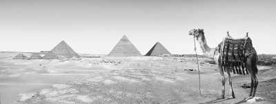 Ägypten - Giza Plateau - Time Travel in Cairo: Immersing in the Rich History and Delicious Flavors of Egypt - 1