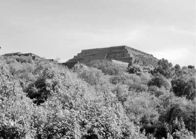 Mexico - Zitácuaro - Mexico City: Monarch Migration Expedition