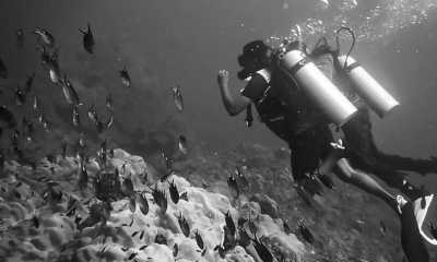 Indien - Netrani Island - Wildlife & Heritage Special Trip : Karnataka, India - 2