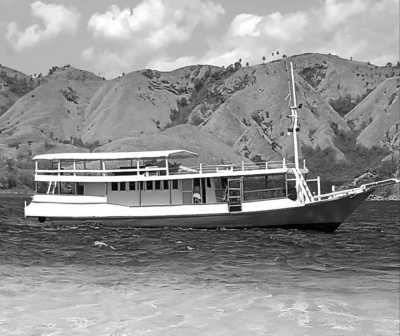 Indonesia - Komodo Island - Raja Ampat & Komodo - Schnorcheln oder Tauchen in Indonesien - 3