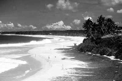 Sri Lanka - Mirissa Beach - A Tropical Paradise Unveiled: A Breathtaking Sri Lankan Beach Adventure - 4