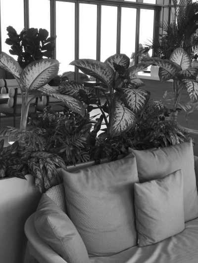 United Arab Emirates - AURA SKYPOOL Dubai - Ultimate Dubai Getaway: Indulge in 6 Nights of Luxurious Bliss - 2