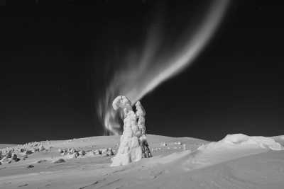 Finnland - Rovaniemi - Explore snowy Finland before Christmas - Northern Lights, Santa Claus Village and Snowmobile Adventure - 3