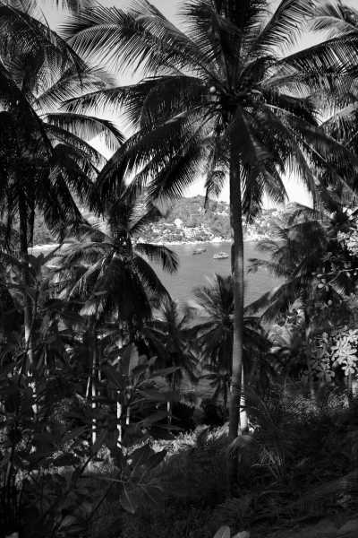 Thailand - Ko Pha Ngan - Focus, Create & Connect – A Coworking Adventure on Koh Phangan - 1