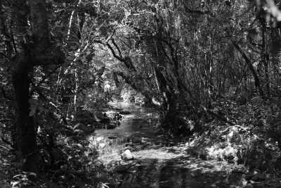 Sri Lanka - Thangappuwa - Exploring Knuckles: Hiking the Hidden Gem of Sri Lanka - 9