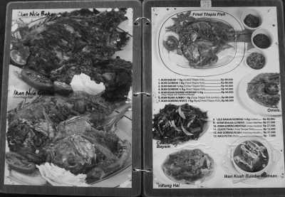 Indonesia - Kintamani - Explore my Hometown Bali and Nusa Penida Island, Indonesia - 7