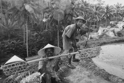 South-eastern Asia - Ubud - Malaysia, Singapore, and Indonesia: A  2-Week Adventure - 3