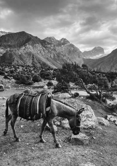 Zentralasien - Shahrisabz - Uzbekistan & Tajikistan Discovery Adventure