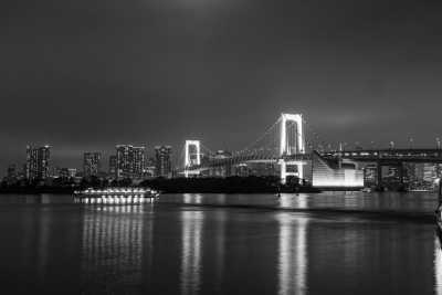 Japan - Tokyo - Journey Through Japan: A Land of Contrasts - 1