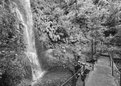 Portugal - Levada do Caldeirão Verde - 🌅 The Hawaii of Europe: MADEIRA! 🌤️ Private Authentic Thatched Farm Villa, Hiking, Wine Tasting, Beaching and Vibes!! - 3