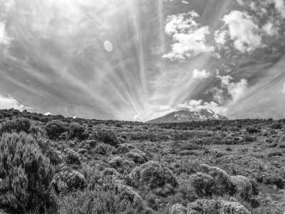 Tanzania - Machame Gate - Mount Kilimanjaro - Mount Kilimanjaro and Safari. - 3