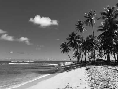 Dominikanische Republik - Cayo Levantado - Get a taste of The Dominican Republic - One month trip in Paradise, rum tasting and more! - 4