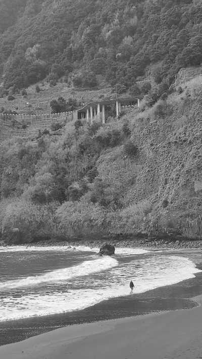 Portugal - Praia de Seixal - Surf & Hike in beautiful island of Madeira, Portugal - 1