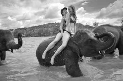 Thailand - Bathing with Elephants - Swimming with Elephants and Snorkeling in Phuket, Thailand: Island Paradise, Majestic Elephants, Spectacular Snorkeling, and Local Cuisine - 3