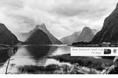 New Zealand - Milford Sound / Piopiotahi - 🇳🇿🗺 Entdecke die Geheimnisse Neuseelands 🗺🇳🇿 - 5