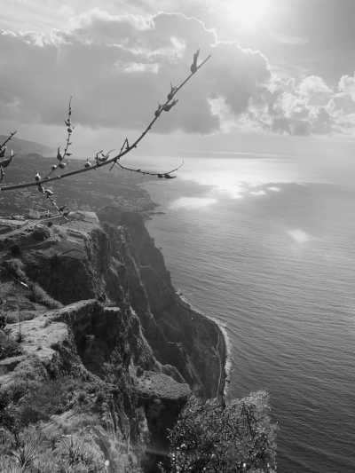 Portugal - Curral das Freiras - Madeira Paradise Co-working! ☀️ Yoga, sea Views, Nature and Exploration - 3