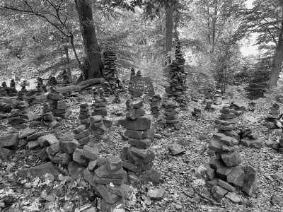 Deutschland - Heidelberg - Travel Through the Black Forest, Germany - 3
