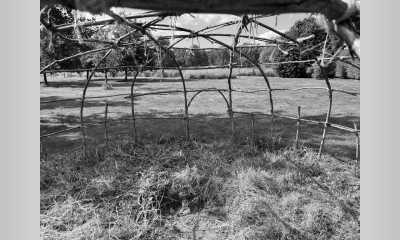 Belgium - Galmaarden - 5 Day Shamanic Lodge Retreat - Diving from the Beautiful Belgian Countryside into Yourself! - 13