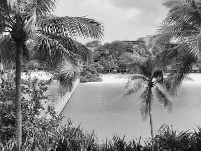 Singapore - Palawan Beach - 𝗠𝗮𝗷𝗲𝘀𝘁𝗶𝗰 𝗦𝗶𝗻𝗴𝗮𝗽𝗼𝗿𝗲: 𝗔𝗻 𝗨𝗻𝗳𝗼𝗿𝗴𝗲𝘁𝘁𝗮𝗯𝗹𝗲 𝗝𝗼𝘂𝗿𝗻𝗲𝘆 𝗧𝗵𝗿𝗼𝘂𝗴𝗵 𝘁𝗵𝗲 𝗚𝗮𝗿𝗱𝗲𝗻 𝗖𝗶𝘁𝘆 🇸🇬⛲️🏝 - 2