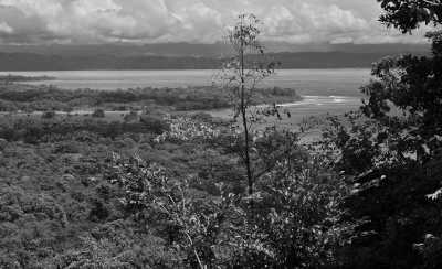 Costa Rica - Puerto Jiménez - Costa Rica Herpetology Adventure: Crocodiles and Poison Dart Frogs Expedition