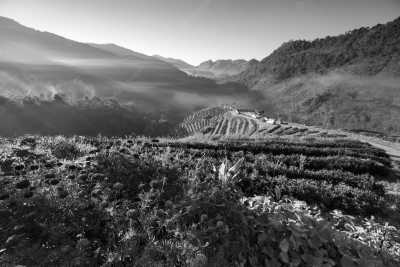 Vietnam - Sa Pa - Vietnam Co-Working Trip  💻 The longer you stay, the more you save! - 6