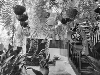 Spain - Los Realejos - LAST SPOT!!! Unveiling The Authentic Side of Tenerife: Food, Teide Sunsets, Banana plantations and many local experiences with an Experienced Trip Coordinator who lives in Spain! - 8