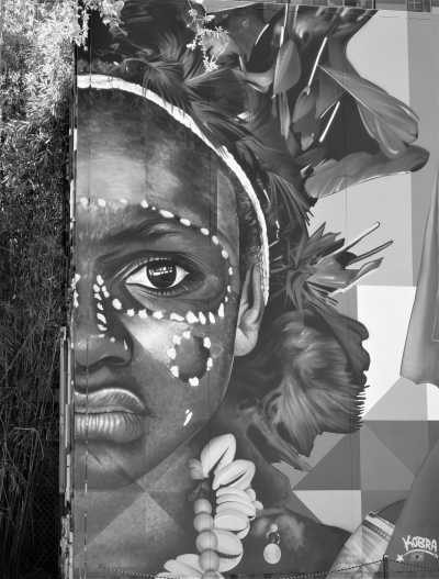 United States - Wynwood Walls - Travel Like a Local to Florida, Miami, the Atlantic Coast, & Orlando (Disney World) - 1