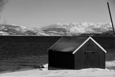 Norway - Rebbenesøya - Northern Lights and Arctic Wonders: Winter Expedition in Norway - 2