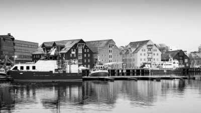 Norway - Tromsø - Artic Aurora 🌈 and Reindeer Glides 🦌 in Norway: Tromsø's Autumn Wonderland 🍂 - 4