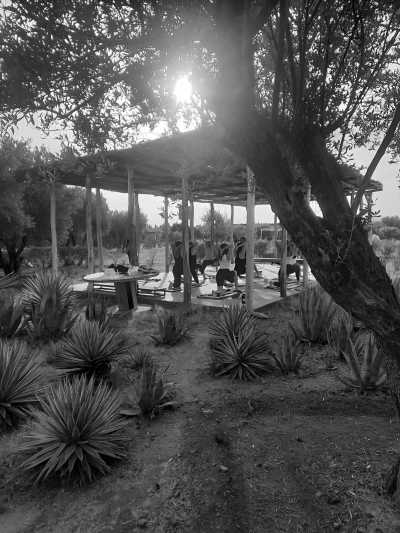 Morocco - Ouassane - Ecolodge: Yoga and Pranic Healing at the Beach, Morocco! Join a Memorable Experience 🧘‍♂️ - 2