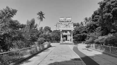 India - Tiruchirappalli - Ancient South India: Experience the Exotic Ancient Temples and Enticing Hills of Tamilnadu - 36