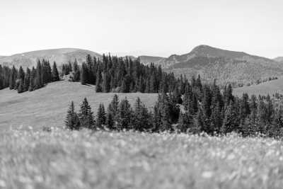 Slowakei - Tourist shelter Limba - Wilderness and Tranquility: Hiking Adventure in Great Fatra National Park in Slovakia - 7